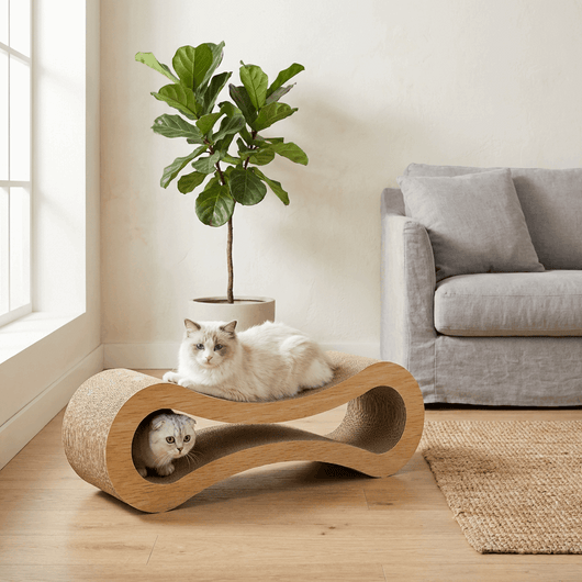FurNest | Cat Lounge and Scratcher with Eco-Friendly Design for Indoor Cats 0