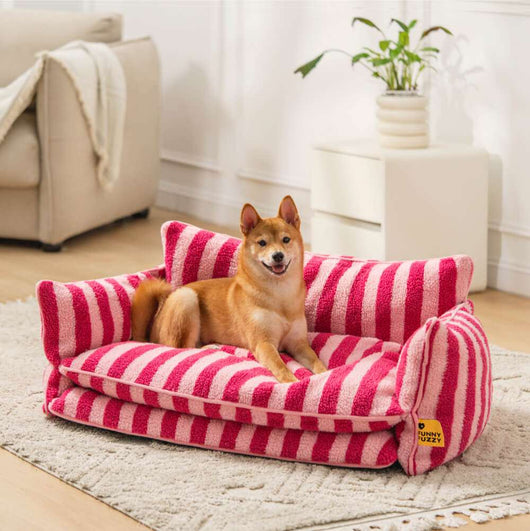 FurNest | Faux Lambswool Dog Bed Sofa with Double Layer Comfort for Small to Large Dogs 0