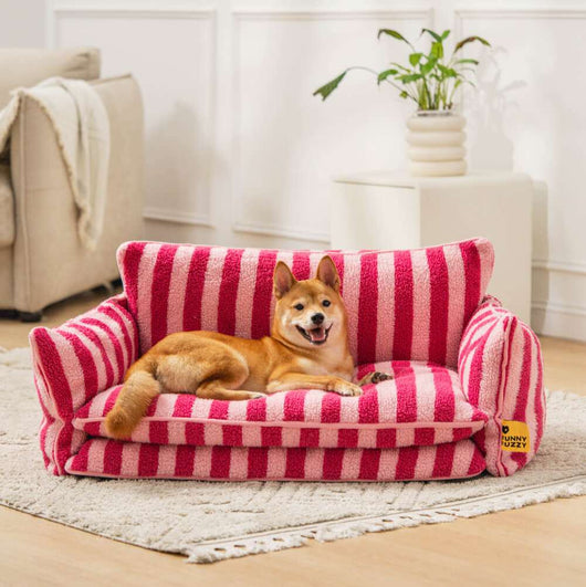 FurNest | Faux Lambswool Dog Bed Sofa with Double Layer Comfort for Small to Large Dogs 2