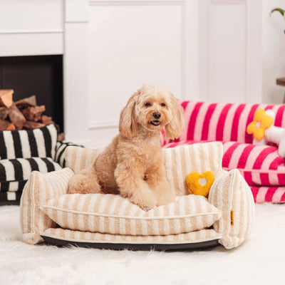 FurNest | Faux Lambswool Dog Bed Sofa with Double Layer Comfort for Small to Large Dogs 6