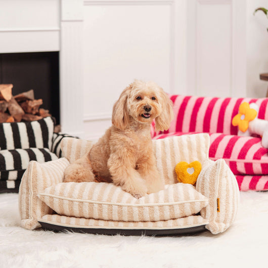 FurNest | Faux Lambswool Dog Bed Sofa with Double Layer Comfort for Small to Large Dogs 6