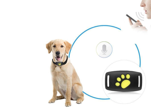 GPS Cat Collar with Real-Time Tracking and Lightweight Design for Adventurous Cats-GPS Collars & Trackers-Levereau-Default-Levereau