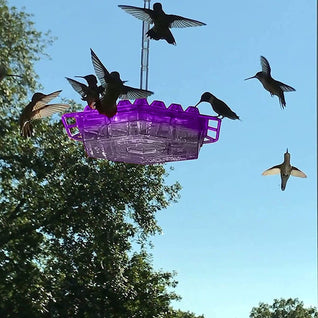 Hummingbird Feeder with Ant-Proof System and Bee-Resistant Hex Design for Outdoor Use
