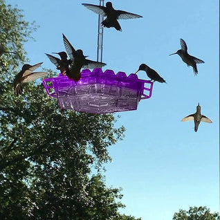 Hummingbird Feeder with Ant-Proof System and Bee-Resistant Hex Design for Outdoor Use
