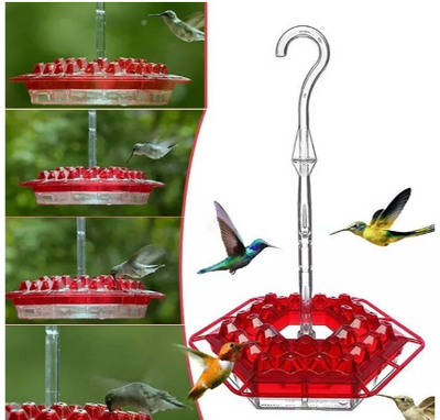 Hummingbird Feeder with Ant-Proof System and Bee-Resistant Hex Design for Outdoor Use 4