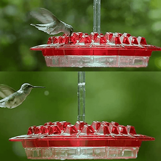 Hummingbird Feeder with Ant-Proof System and Bee-Resistant Hex Design for Outdoor Use