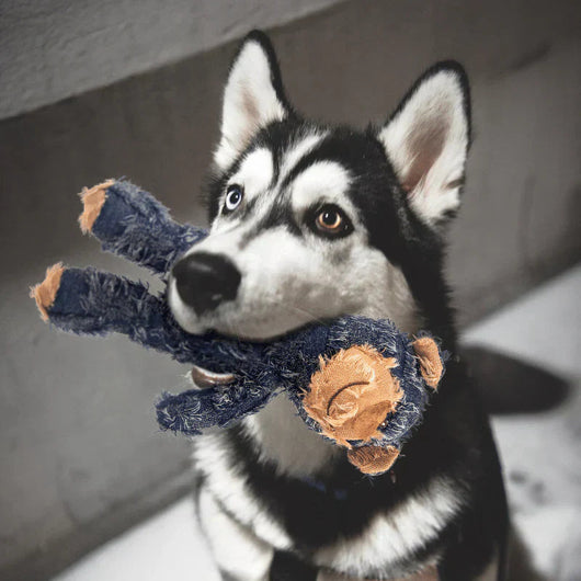 Indestructible Dog Toy for Aggressive Chewers with Durable Stitching for All Dog Sizes 1