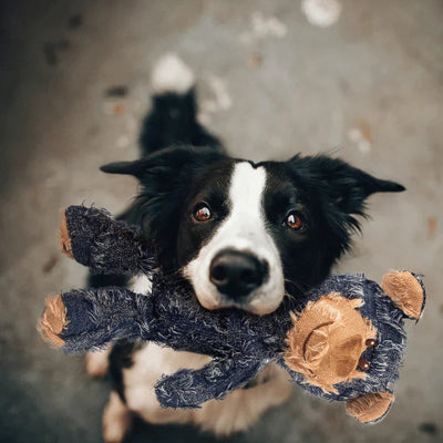 Indestructible Dog Toy for Aggressive Chewers with Durable Stitching for All Dog Sizes 2
