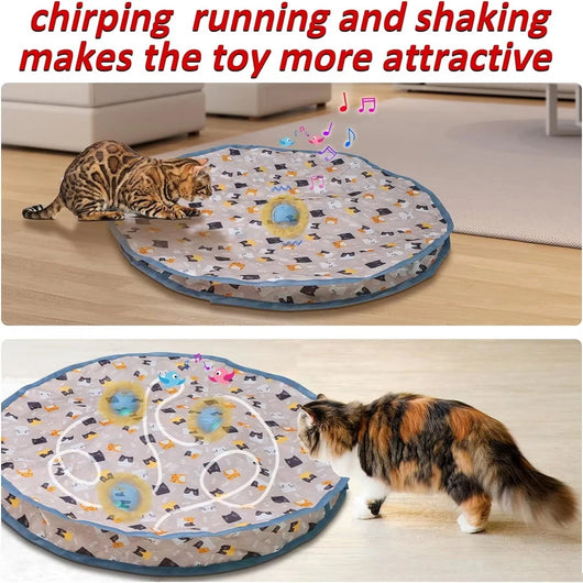 Interactive Cat Toy Ball with Motion Activation for Indoor Cats - Rechargeable Fun 1