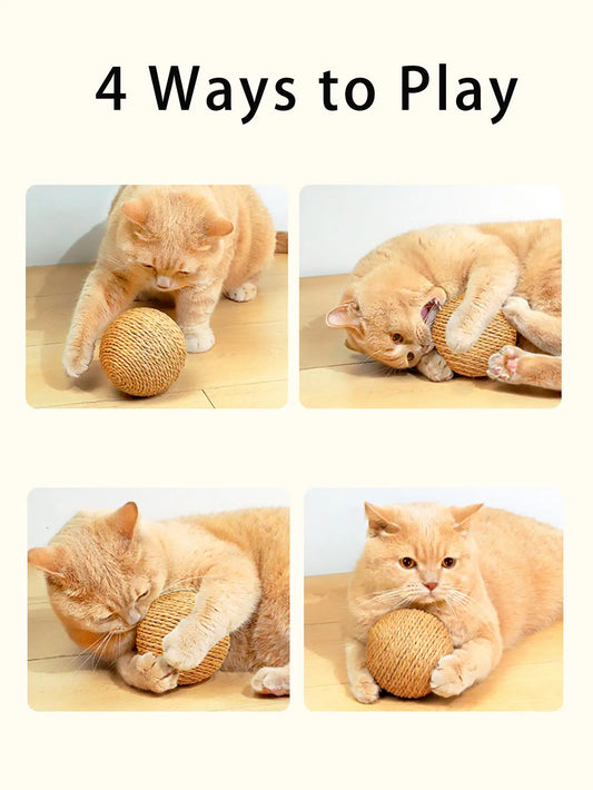 Interactive Cat Toy Scratching Ball with Sound for Kittens 1