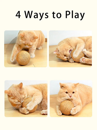 Interactive Cat Toy Scratching Ball with Sound for Kittens 1