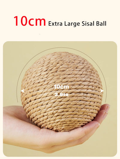 Interactive Cat Toy Scratching Ball with Sound for Kittens 3