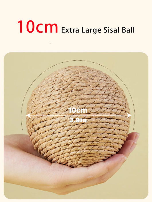 Interactive Cat Toy Scratching Ball with Sound for Kittens 3