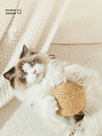 Interactive Cat Toy Scratching Ball with Sound for Kittens 4