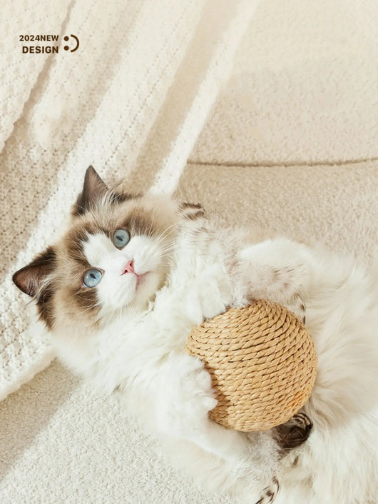 Interactive Cat Toy Scratching Ball with Sound for Kittens 4