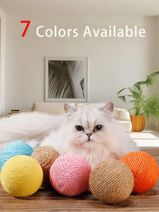Interactive Cat Toy Scratching Ball with Sound for Kittens 5