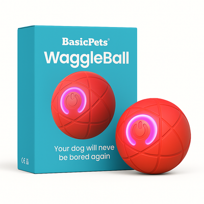 Interactive Dog Toy Ball with Jumping Motion and Glow for Dogs and Cats 4