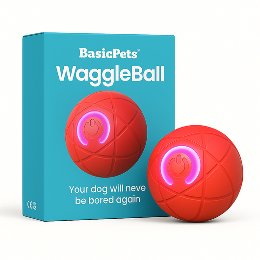 Interactive Dog Toy Ball with Jumping Motion and Glow for Dogs and Cats 4