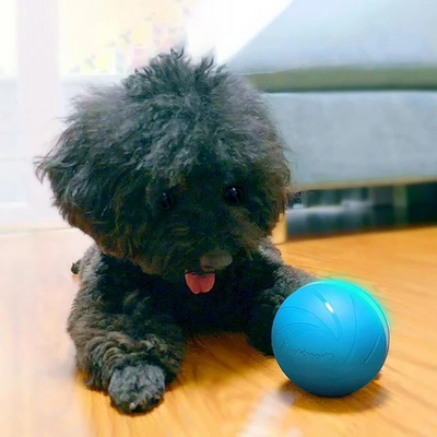 Interactive Dog Toy Motion Ball with Rechargeable Battery for Dogs and Cats 0