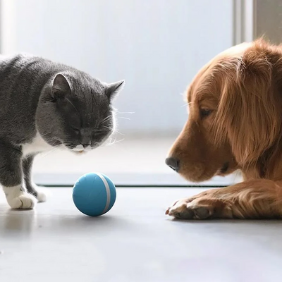 Interactive Dog Toy Motion Ball with Rechargeable Battery for Dogs and Cats 3