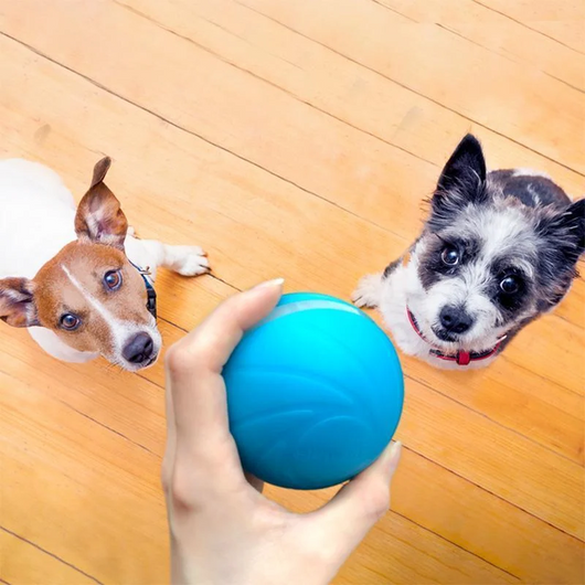 Interactive Dog Toy Motion Ball with Rechargeable Battery for Dogs and Cats 4