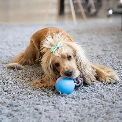 Interactive Dog Toy Motion Ball with Rechargeable Battery for Dogs and Cats 5