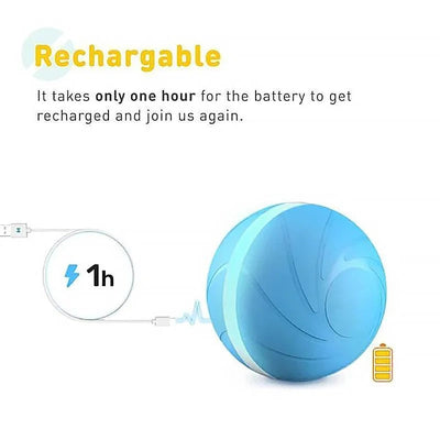 Interactive Dog Toy Motion Ball with Rechargeable Battery for Dogs and Cats 6