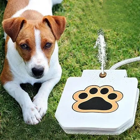 Interactive Dog Toy with Spray Fountain | for Outdoor Cooling and Play 4