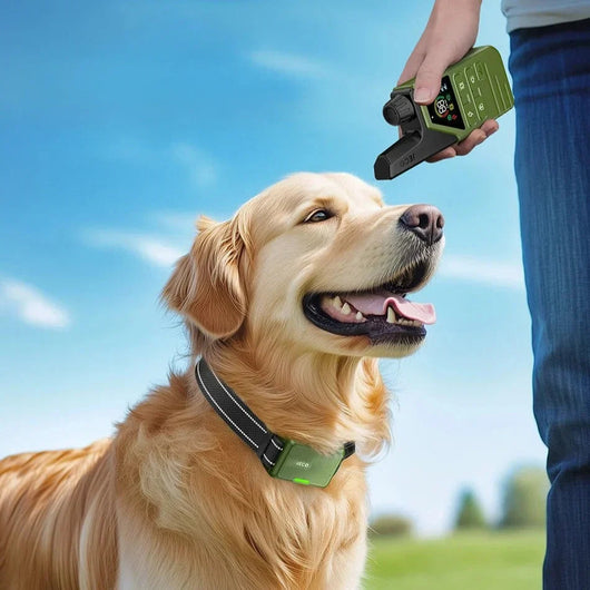 JECO | Shock Collar for Dogs with Remote Control and Safety Lock for All Breeds 4