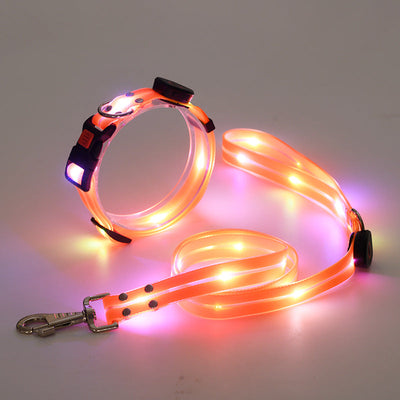 LED Dog Collar and Leash Set with 360-Degree Visibility and USB Rechargeable Feature for All Dog Sizes-LED Dog Collars-Levereau-Orange-Levereau