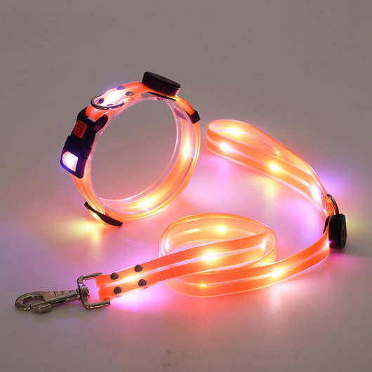 LED Dog Collar and Leash Set with 360-Degree Visibility and USB Rechargeable Feature for All Dog Sizes-LED Dog Collars-Levereau-Orange-Levereau