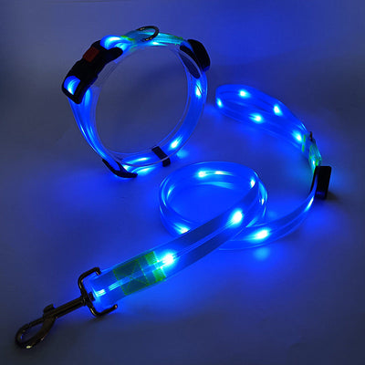 LED Dog Collar and Leash Set with 360-Degree Visibility and USB Rechargeable Feature for All Dog Sizes-LED Dog Collars-Levereau-Yellow-Levereau