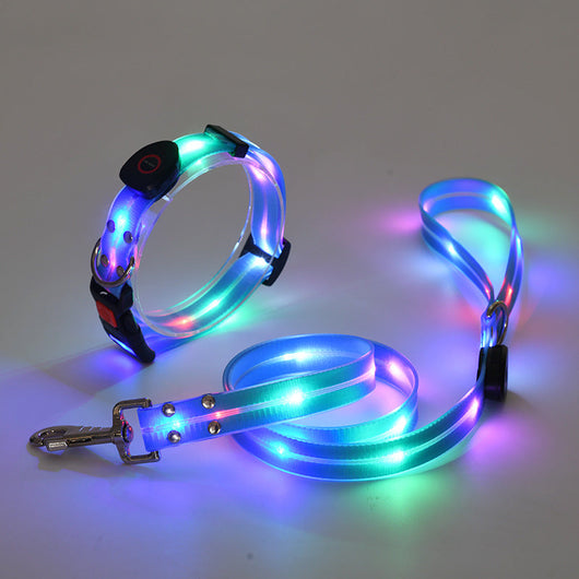 LED Dog Collar and Leash Set with 360-Degree Visibility and USB Rechargeable Feature for All Dog Sizes-LED Dog Collars-Levereau-Blue-Levereau