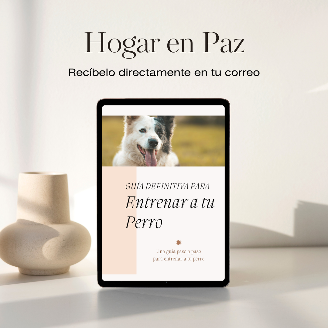 Guía Adiestramiento canino