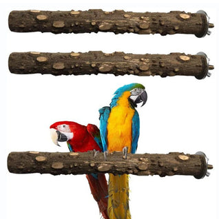 Natural Wood Bird Perch for Parrots - Durable Climbing and Chewing Stick for All Sizes