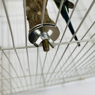 Natural Wood Bird Perch for Parrots - Durable Climbing and Chewing Stick for All Sizes