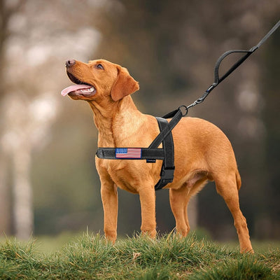 No Pull Dog Harness with Comfort Grip Handle and Reflective Strips for All Breeds 2