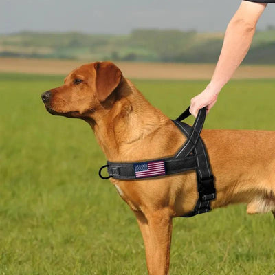 No Pull Dog Harness with Comfort Grip Handle and Reflective Strips for All Breeds 4