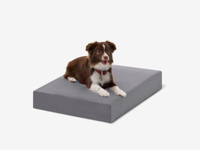 OrthoLift | Orthopedic Dog Bed with 4-Inch Foam Support for Large Dogs 0