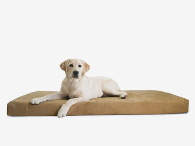 OrthoLift | Orthopedic Dog Bed with 4-Inch Foam Support for Large Dogs 10