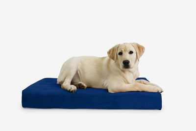 OrthoLift | Orthopedic Dog Bed with 4-Inch Foam Support for Large Dogs 11