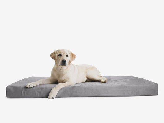 OrthoLift | Orthopedic Dog Bed with 4-Inch Foam Support for Large Dogs 13