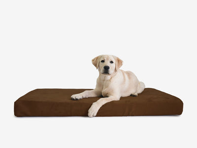 OrthoLift | Orthopedic Dog Bed with 4-Inch Foam Support for Large Dogs 14