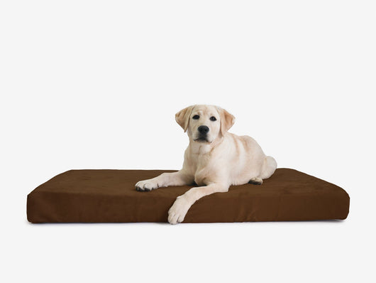 OrthoLift | Orthopedic Dog Bed with 4-Inch Foam Support for Large Dogs 14