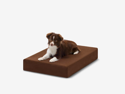 OrthoLift | Orthopedic Dog Bed with 4-Inch Foam Support for Large Dogs 15