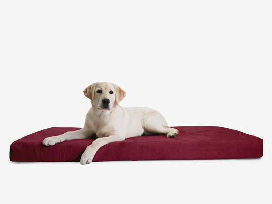 OrthoLift | Orthopedic Dog Bed with 4-Inch Foam Support for Large Dogs 16