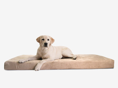 OrthoLift | Orthopedic Dog Bed with 4-Inch Foam Support for Large Dogs 18
