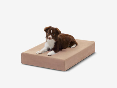 OrthoLift | Orthopedic Dog Bed with 4-Inch Foam Support for Large Dogs 19