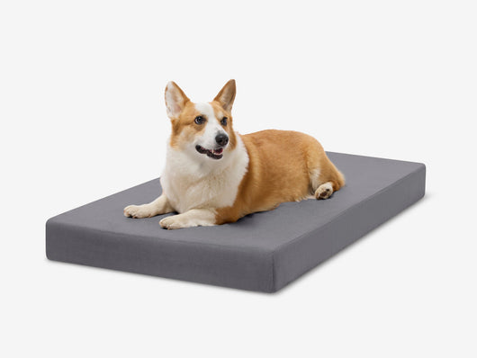 OrthoLift | Orthopedic Dog Bed with 4-Inch Foam Support for Large Dogs 1