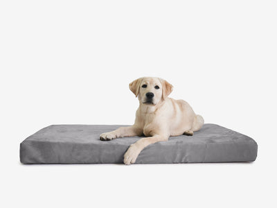 OrthoLift | Orthopedic Dog Bed with 4-Inch Foam Support for Large Dogs 21